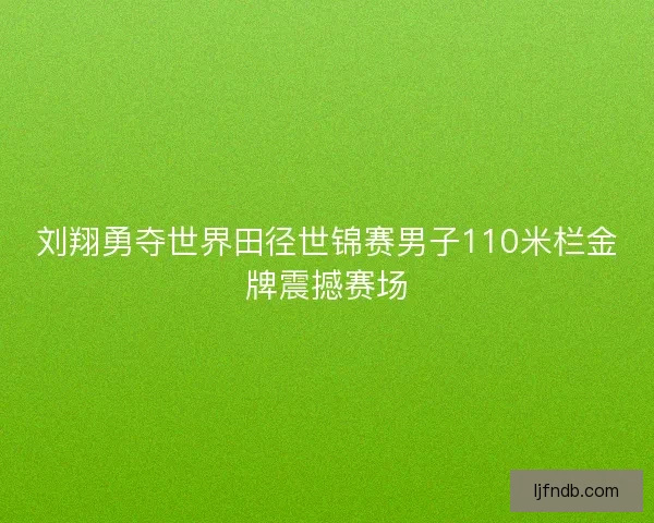 刘翔勇夺世界田径世锦赛男子110米栏金牌震撼赛场